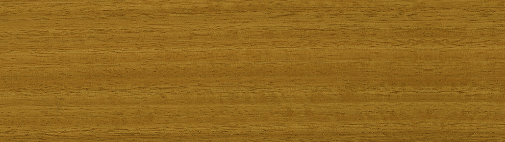 Spotted Gum